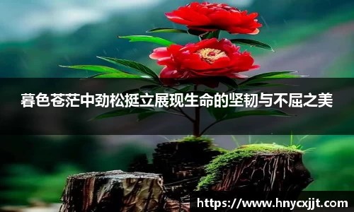 暮色苍茫中劲松挺立展现生命的坚韧与不屈之美